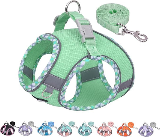 AIITLE Tiny Dog Harness - Lightweight Mesh Step-in Vest for Puppy, Reflective & Escape-Proof Design with High-Stick Velcro - Indoor/Outdoor Use for Chihuahua, Maltese, Shih Tzu(Sage, XXXS)