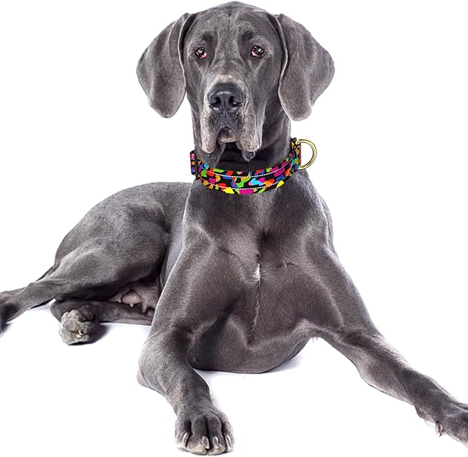 Reflective Dog Collar for Large Dogs, Cute Boho Adjustable Heavy-Duty Nylon Puppy Collar for Boy and Girl Female, Soft Pet Accessories with Quick Release Buckle, Abstract Rainbow Art