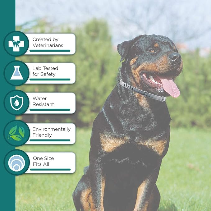 Flea and Tick Collar for Large Dog, Safe, Waterproof, Free Comb, Charity 2 Packs