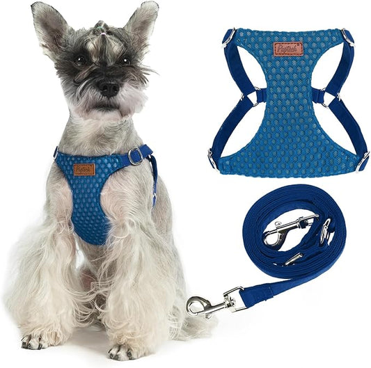 PUPTECK Dog Harness and Leash Set Small Sized, Step-in Cute Puppy Harness, Soft Lightweight Padded Vest, Escape Proof No Pull Pet Harnesses Easy for Walking, Blue, M