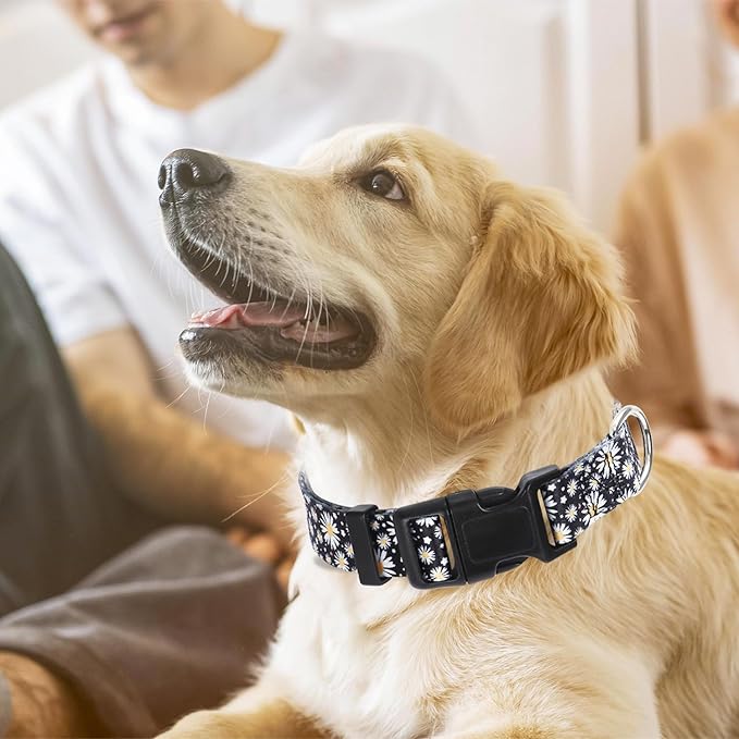 Dog Collars for Large Dogs with Daisy Patterns, Cute Dog Collar Buckle Collar for Boy Girl Dogs, Adjustable Comfy Soft Durable Pet Collar for XS Small Medium Large Extra Large Dogs (L)