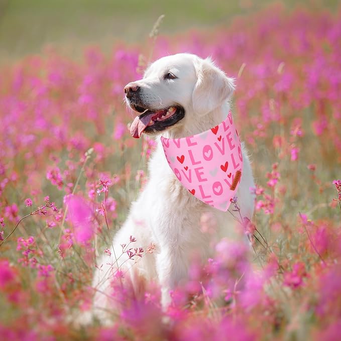 ADOGGYGO Valentine Dog Bandana, Heart and Love Pet Scarf, Premium Durable Fabric, Red Pink Valentine Bandanas for Large and Extra Large Dogs (X-Large)