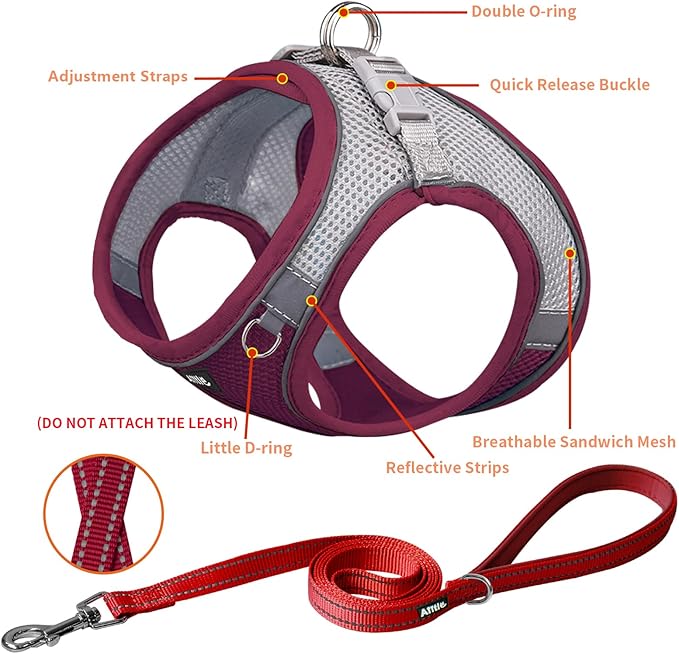 AIITLE Easy Walk Dog Harness and Leash Set - Pet Supply No Pull, Step in Adjustable Dog Harness with Padded Vest for Spring, Dog Harness No Choke Over, Easy to Put on Medium Dogs Burgundy L