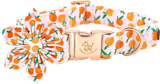 Elegant Peach Cute Pink Flower Dog Collar - Adjustable for X-Large Dogs
