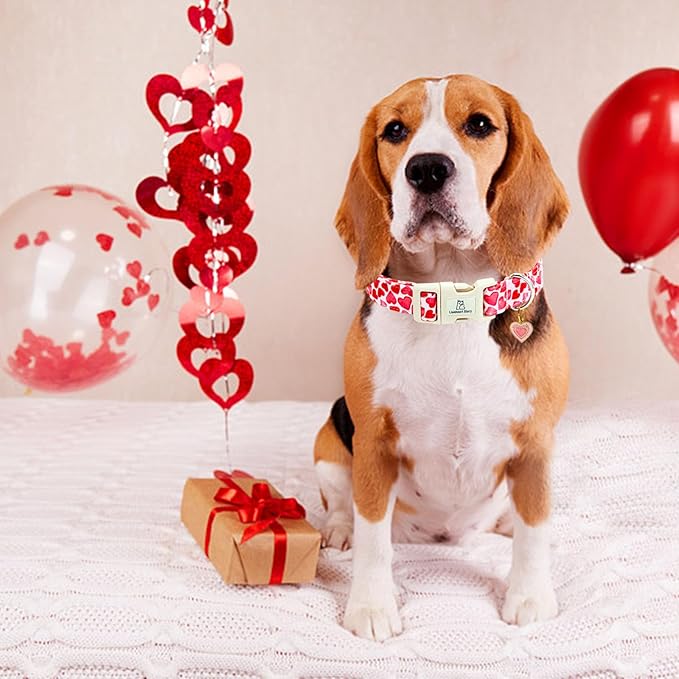 Lionheart glory Valentine Collar, Red Hearts Dog Collar for Medium Cute Dog Collars Spring Female Pet Gift Adjustable Heavy-Duty Holiday Dog Collar Plastic Buckle