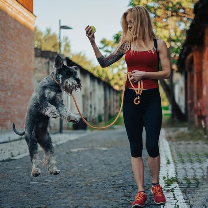 Fida Durable Slip Lead Dog Leash, 6 FT x 3/8" Heavy Duty Dog Loop Leash, Comfortable Strong Rope Slip Leash for Small Dogs and Puppies, No Pull Pet Training Leash with Highly Reflective (3/8", Orange)