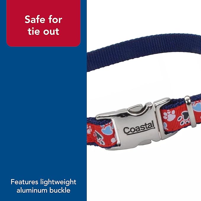 Coastal Pet - Ribbon - Adjustable Dog Collar with Metal Buckle, Red with Paws, 5/8" x 08"-12"