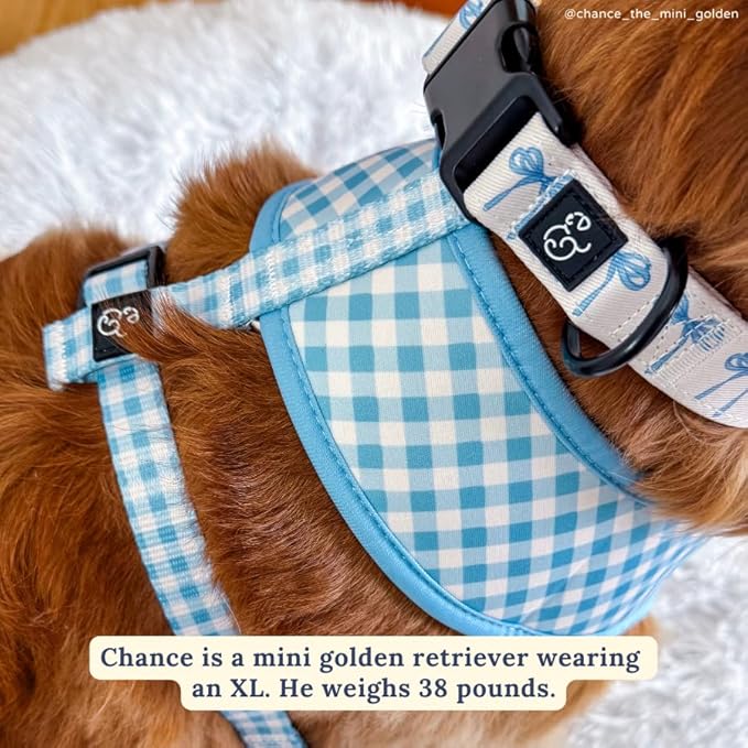 Lucy & Co. Cute Reversible Dog Harness Walking Halter - Best Designer Pet Harnesses for XS - XL Dogs - Padded Adjustable Vest for Easy Walking - X Large - White with Blue Bows