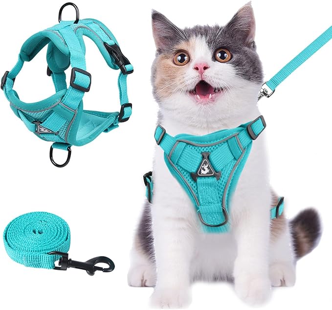 Summer cat Chest Harness and Leash, Anti-Escape Adjustable Soft mesh cat Leash and Chest Harness Set for All Types of Cats cat Vests (Emerald, M)