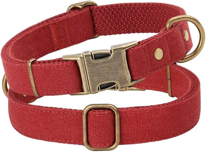 PET ARTIST Dog Collars for Medium Dogs, Heavy Duty Nylon Dog Collar with Quick Release Metal Buckle, Soft Padded Nylon, Durable & Adjustable for Girl Gifts, Red, M (Fit 13-20")