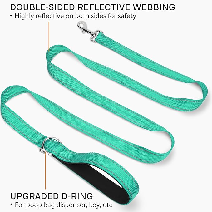 Joytale Double-Sided Reflective Dog Leash, 6 FT/5 FT/4 FT, Padded Handle Nylon Heavy Duty Leashes for Medium & Large Dogs Walking, Teal, 6FT