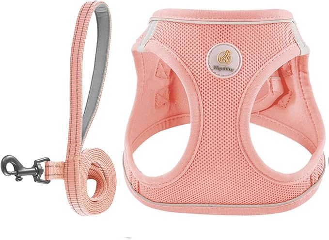 Dog Harness and Leash Set, No Pull Soft Mesh Pet Harness for Small Medium Dogs, Cats - Step in Adjustable Reflective Puppy Harness with Buckle and Double D-Rings - Pink, L