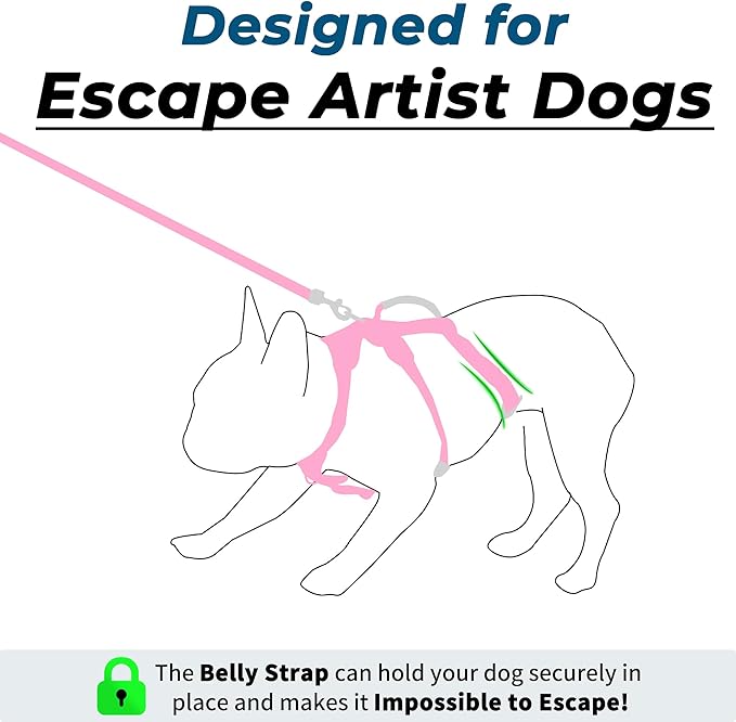 Escape Proof Dog Harness and Leash Set, Lightweight Dog Harness with Lift and Assist Handle, No Pull Reflective Pet Vest for Small Medium Dogs, Ideal for Puppy Walking and Training (Pink, M)
