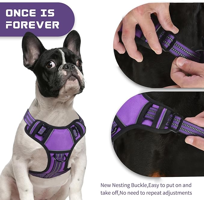 BUMBIN Dog Harness for Large Dogs, No Pull Adjustable No Choke Pet Vest with Dog Leash Fit Smart Reflective Pet Walking Harness for Training Easy Control Soft Handle Purple M