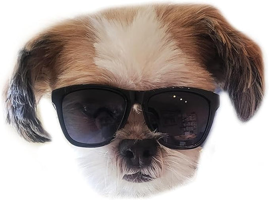G014 Dog Small Breed up to 15lbs Pet Cat Puppy 80s Retro Sunglasses (Black)