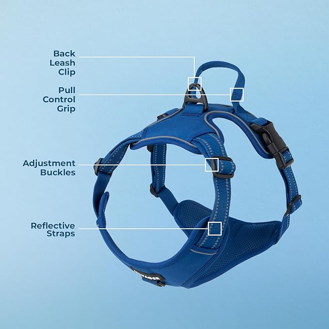 No Pull Dog Harness for Large Dogs, Dual Leash Attachments, Adjustable Soft but Strong Pet Harness with 3M Reflective Technology, (Royal Blue Lattice Nylon), XL (Chest: 28-37")