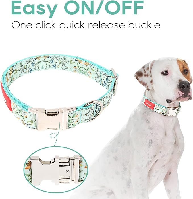 Timos Dog Collar, Adjustable Soft Dog Collar for Small Medium Large Dogs, Patterned Puppy Collars with Quick Release Buckle for Boy and Girl Female Dogs (Light Cyan, Small)