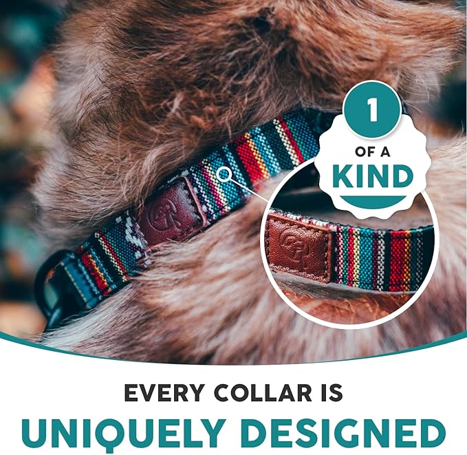 Embark Adventure Dog Collar – Stylish & Durable Nylon Dog Collars for Large Dogs, Comfortable Pet Collar, Collars for Large Breed Dogs with Strong Buckles. Adjustable Big Dog Collars for Large Dogs