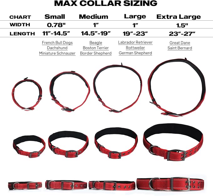 PetiFine Heavy Duty Dog Collar with Durable Metal Buckle,Neoprene Padded Comfort Dog Collar, Reflective Adjustable Belt Buckle Dog Collars for Small Medium Large Dogs(14.5''-19'', Red)