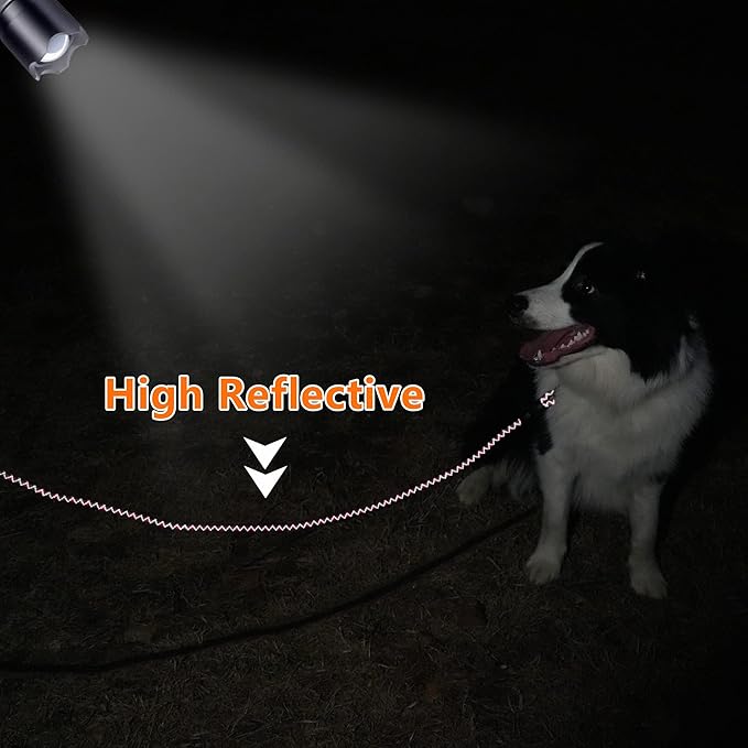 NTR Heavy Duty Dog Leash - 10FT Reflective Leash with Swivel Lockable Hook and Comfortable Padded Handle, Suitable for Small, Medium, and Large Dogs, Red/Grey