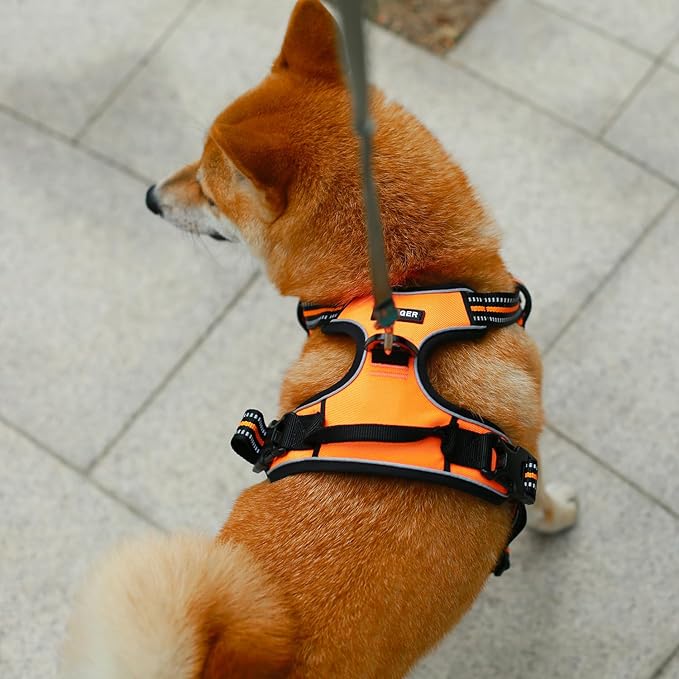 Dog Harness Dual Leash Attachment No-Pull Control Adjustable Soft but Strong Pet Harness for Medium and Large Dogs with 3M Reflective Technology - Harness Leash Set (Orange), XS