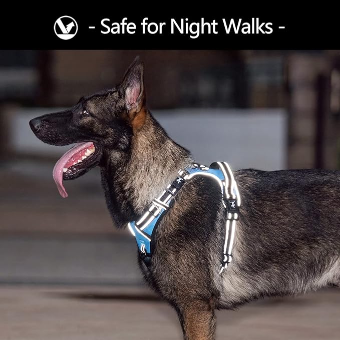 PoyPet Dog Harness No Pull, Reflective with Front & Back 2 Leash Hooks and an Easy Control Handle Pet Harness for Puppy Small Dog, Adjustable Soft Padded Vest Harness(Blue,S)