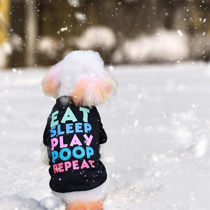 6 Pack Dog Clothes for Small Dogs Boy and Girl, Soft and Breathable Puppy Kitten Dog Shirts with Letters for Pet Cats, Summer Dogs' T-Shirts Apparel Sleeveless Vests for Chihuahua Yorkies