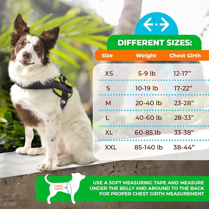 Joyride Harness LED Light Up Dog Harness 2.0 - Patent Pending Design, 3 LED Modes, Vibrant Rechargeable Lighting, Customizable Name Tag Area, and Convenient On/Off Button for Enhanced Pet Safety