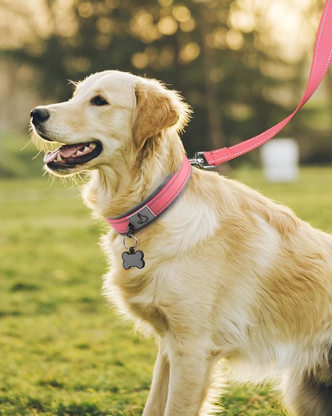 Joytale Dog Collar for Large Dogs, Neoprene Padded and Adjustable, Reflective Wide Heavy Duty Pet Collars with Durable Metal Belt Buckle for Walking, Pink, L