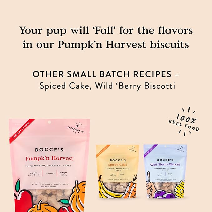 Bocce's Bakery All-Natural, Small Batch, Organic Dog Treats, Pumpk'n Harvest Biscuits, Wheat-Free, Limited-Ingredient, Made in The USA with 100% Recyclable Packaging, 12 oz Bag