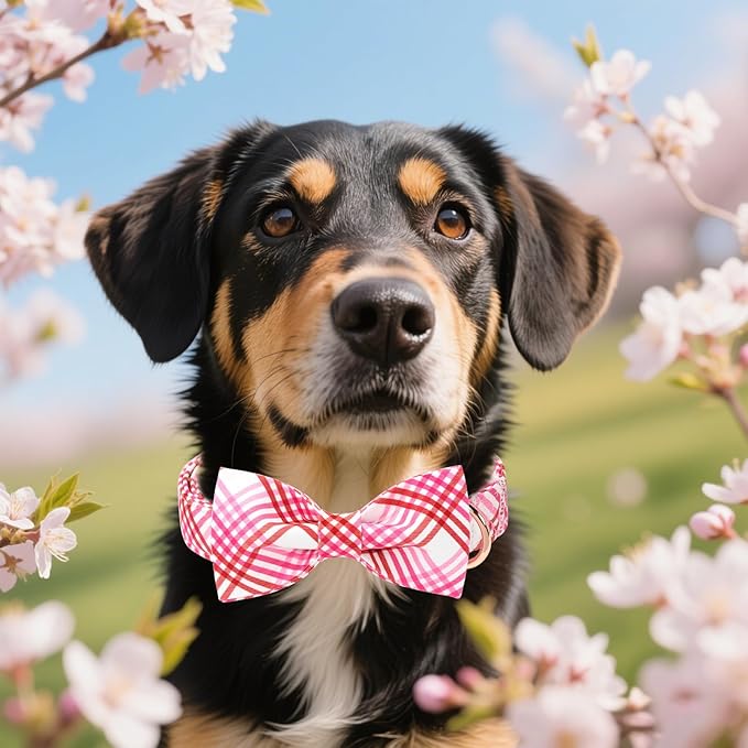 Unique style paws Cotton Dog Collar with Bow Spring Summer Collar with Red White Grid for Small Medium Large Boys Girls Dogs