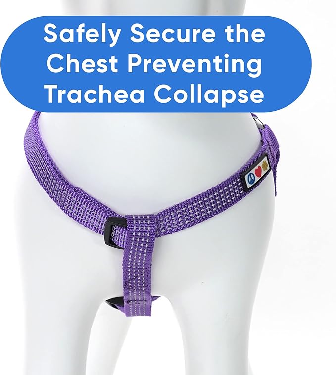 Pawtitas Extra Small Dog Harness Purple Dog Harness Step in from a Senior Dog to a Puppy Harness Adjustable Reflective Dog Harness XS Reflective Dog Vest