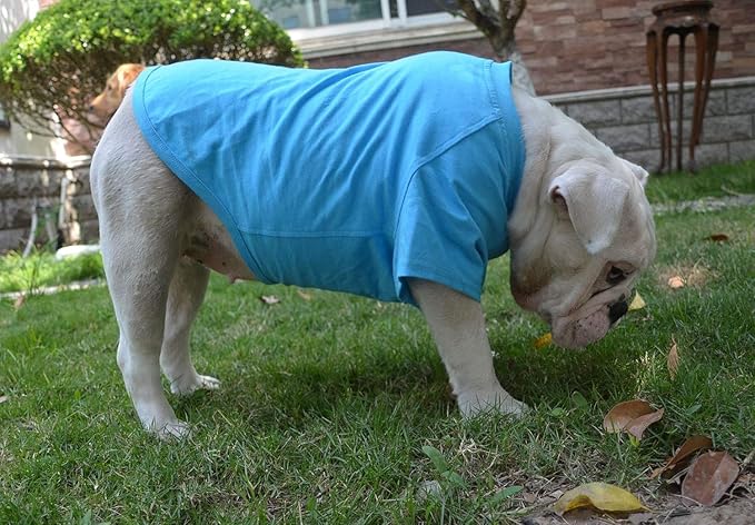Lovelonglong Bulldog Clothes Dog Clothing Blank T-Shirt Tee Shirts for French Bulldog English Bulldog American Pit Bull Pugs 100% Cotton Skin Care Lake-Blue B-S