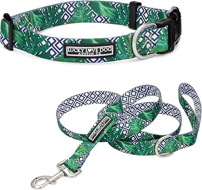 Lucky Love Dog Collar and Leash Set, Beautiful & Vivid Patterns, Easy On & Off Clasp Accessory (Blue Laguna, XS Combo)