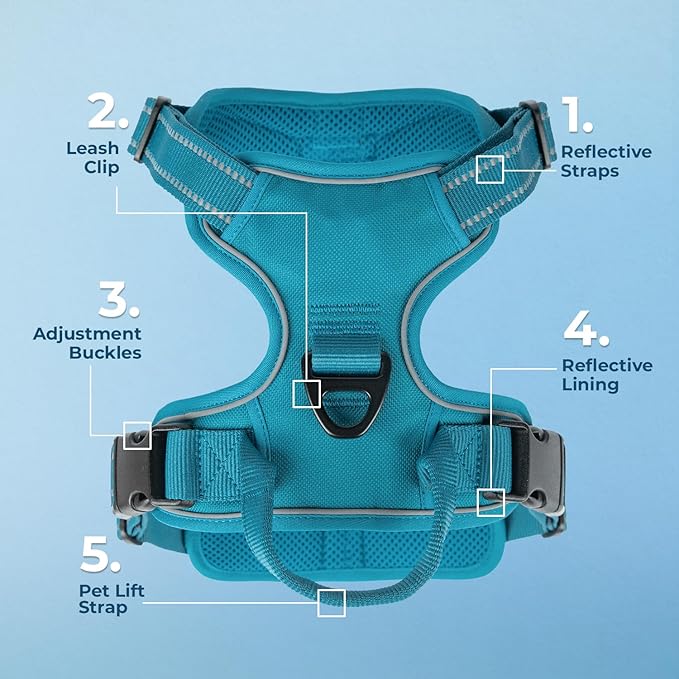 Dog Harness Dual Leash Attachment No-Pull Control Adjustable Soft but Strong Pet Harness for Medium and Large Dogs with 3M Reflective Technology - Turquoise, M (Chest: 20-25") (Pack of 3)