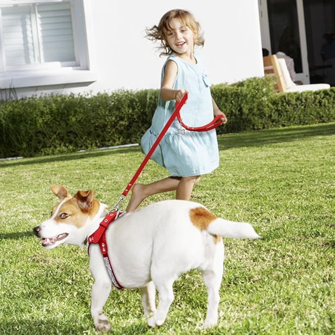 Beirui Soft Suede Leather Dog Harness and Leash Set - Rhinestone Dog Harness Sparkly Crystal Vest & 4 ft Lead for Small Dogs & Cats Pets Chihuahua Schnauzer Yorkshire,Red,Chest for 12-14"