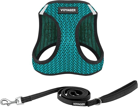 Voyager Step-in Air All Weather Mesh Harness and Reflective Dog 5 ft Leash Combo with Neoprene Handle, for Small, Medium and Large Breed Puppies by Best Pet Supplies - Turquoise, XL