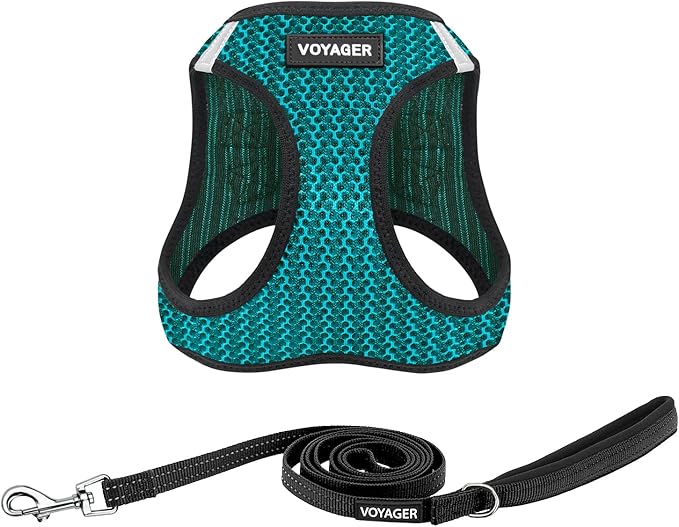 Voyager Step-in Air All Weather Mesh Harness and Reflective Dog 5 ft Leash Combo with Neoprene Handle, for Small, Medium and Large Breed Puppies by Best Pet Supplies - Turquoise (2-Tone), L