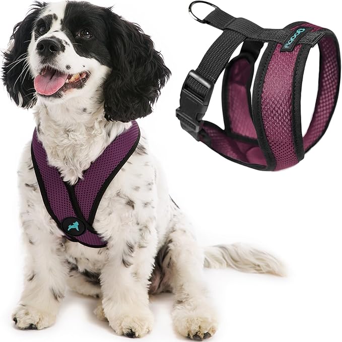 Gooby Comfort X Head In Harness - Purple, Small - Patented Choke-Free X Frame - Perfect On-The-Go Dog Harness for Medium & Small Dogs, Indoor & Outdoor Use