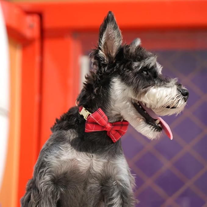 Beirui Cute Small Dog Harness Collar and Leash Set with Bowtie, Soft Adjustable Plaid Puppy Harness for Small Sized Dogs Cats Walks Parties and Photoshoots(Red,XS:Chest 13-18")