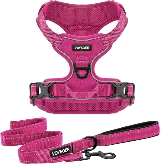 Dog Harness Dual Leash Attachment No-Pull Control Adjustable Soft but Strong Pet Harness for Medium and Large Dogs with 3M Reflective Technology - Harness Leash Set (Fuchsia), L
