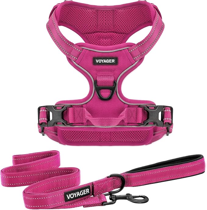 Dog Harness Dual Leash Attachment No-Pull Control Adjustable Soft but Strong Pet Harness for Medium and Large Dogs with 3M Reflective Technology - Harness Leash Set (Fuchsia), XL