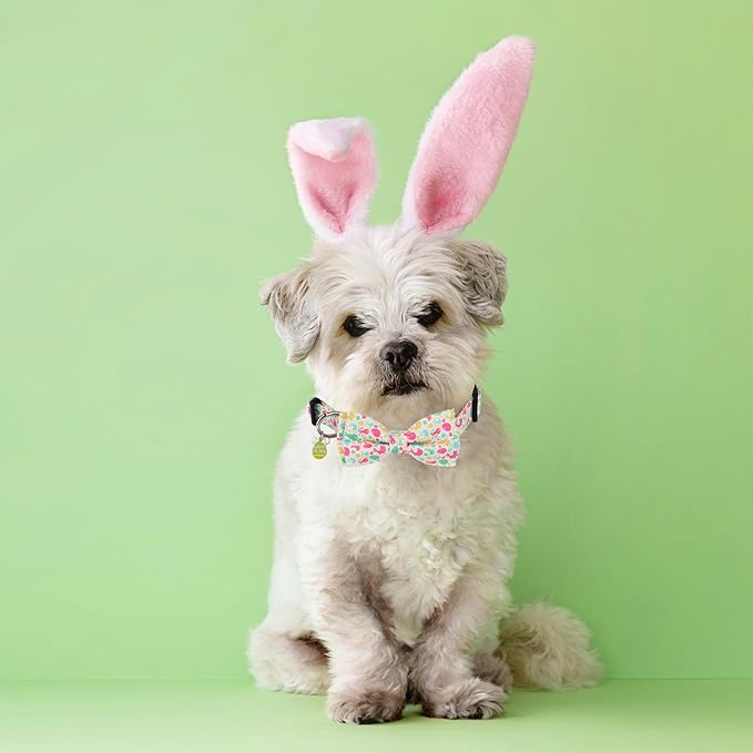 ADOGGYGO Easter Dog Collar with Detachable Bow, Adjustable Easter Bunny Bowtie Collar for Small Medium Large Dogs (Small)