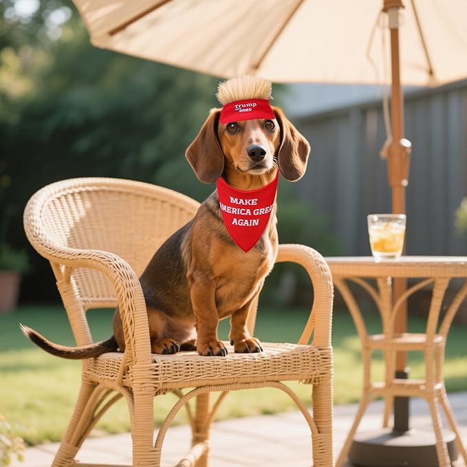 PUPTECK Funny Dog Bandana Outfit Scarf with Cute Doggy Peaked Cap, Costume Decorations Supplies for Small Medium Large Dogs Boy Girl Gifts, Red