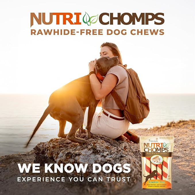 NutriChomps Dog Chews, 6-inch Twists, Easy to Digest, Rawhide-Free Dog Treats, 4 Count, Real Chicken flavor