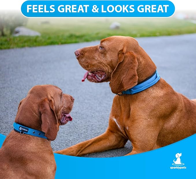 SparklyPets Heavy Duty Dog Collar with Handle for Medium and Large Dogs – Professional Collar with Reflective Stitches, Soft Handle & Nickel-Plated Buckle (Medium (14,5"~18,5"), Blue)