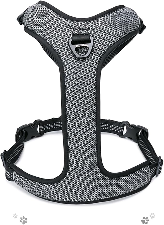 TRUE LOVE Dog Harness Outdoor Adventure II Reflective Vest with 2 Leash Attachments Matching Leash and Collar Available TLH6071
