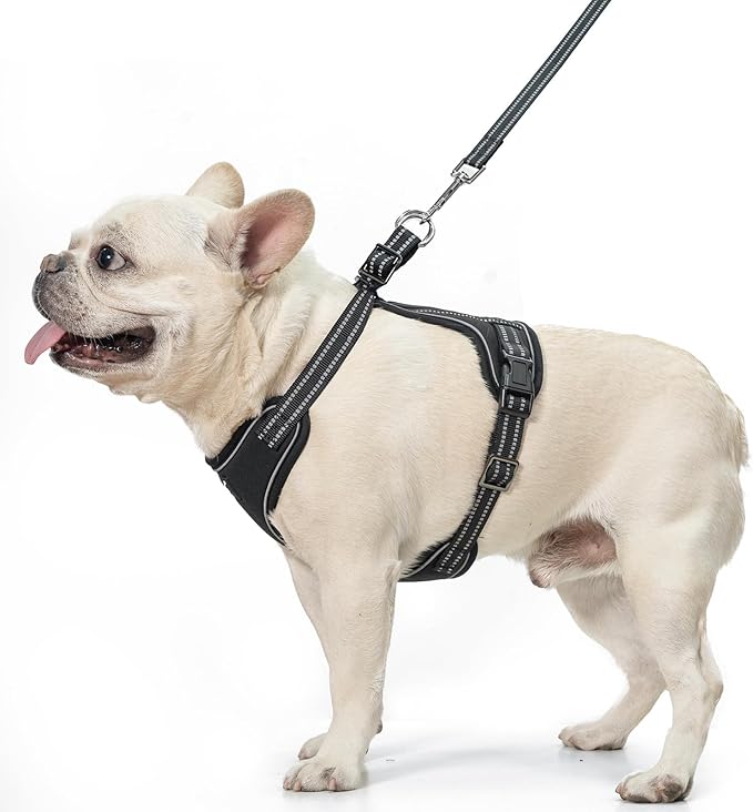 PUPTECK Dog Harness and Leash Set for Small Medium Sized Dogs, No Pull Dog Harness for Walking Training, Adjustable Reflective Puppy French Bulldog Frenchie Harness Soft Padded Vest, Black, L