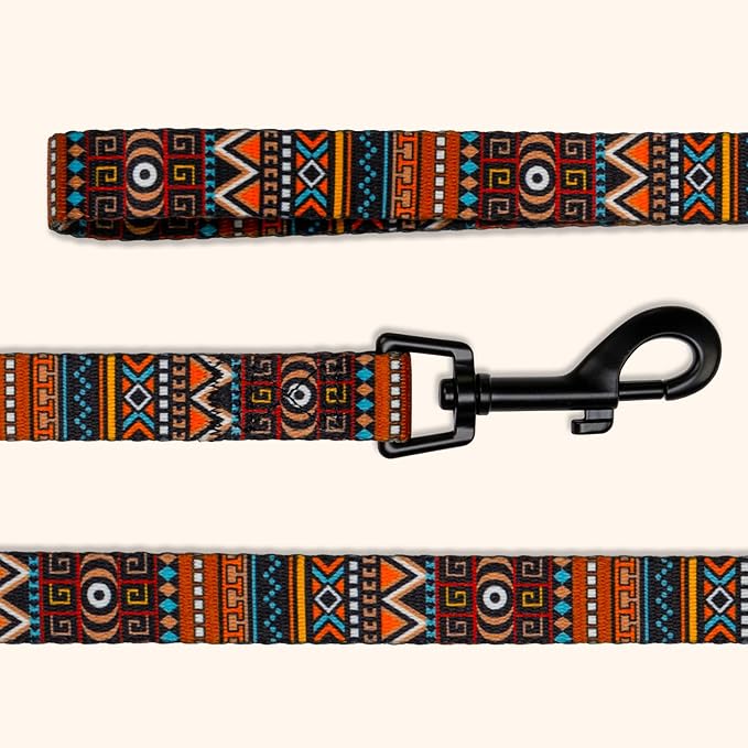 CollarDirect Aztec Dog Leash Nylon Tribal Pattern Cat Pet Leashes for Small Medium Large Dogs Puppy Lead 5 FT Long for Walking (Aztec Sunset, M, New)