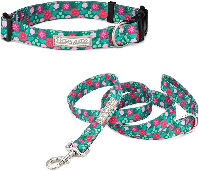 Lucky Love Dog - Adjustable Dog Collar and Leash Set with Easy Click Buckle for Small to Large Dogs, Durable, & Comfortable Collar for Male & Female Dogs, Puppies & Adult Ones - Penny Combo, Large